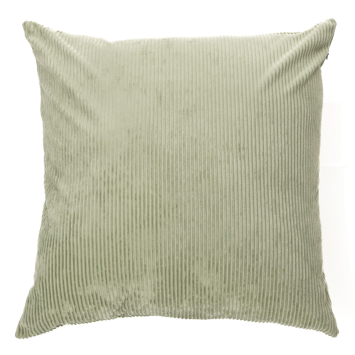 Coussin européen en corduroy sauge - Brunelli