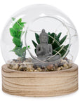 Illuminated plant and Buddha on wooden base