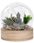 Illuminated plant and Buddha on wooden base