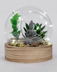 Illuminated plant and Buddha on wooden base