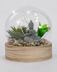 Illuminated plant and Buddha on wooden base