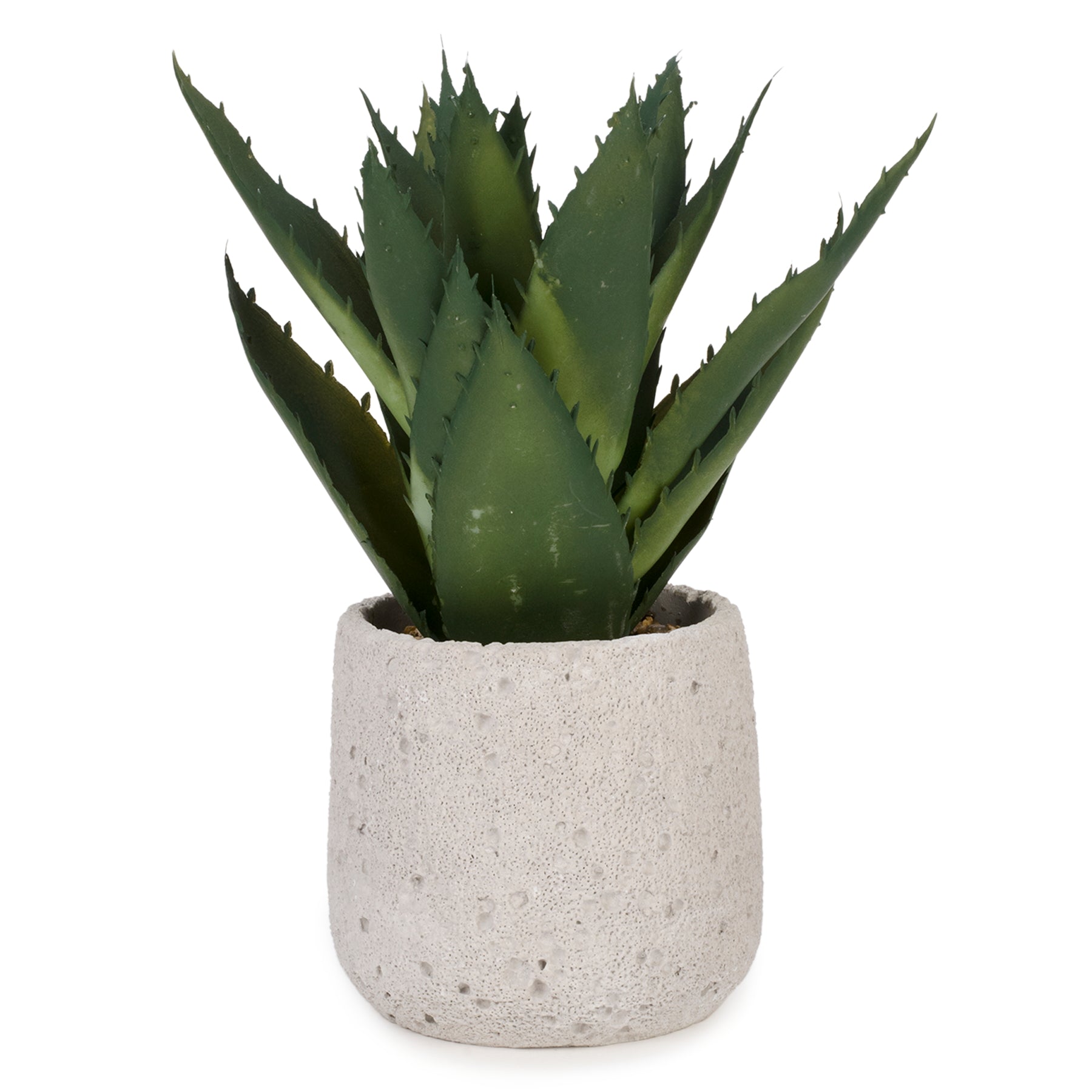 Plante succulente pot gris texturé 5x11pouces